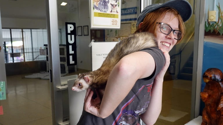 Animal caretaker Carolyn Sill with a ferret named Mr. Wu...