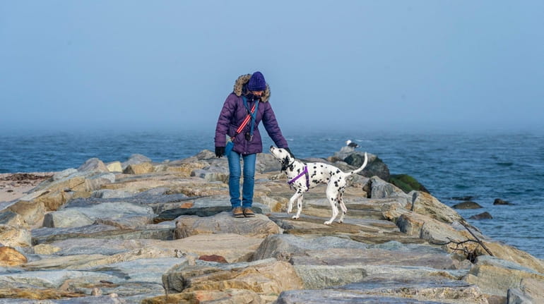 Debi Stroud of Peconic and her dog Wizard, take a...