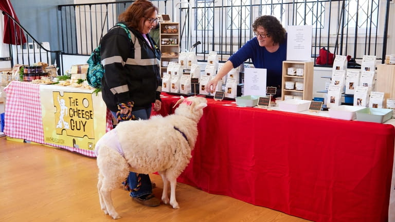 Lisa Fitz with her sheep, Clover at Deep Roots Farmer's Market...
