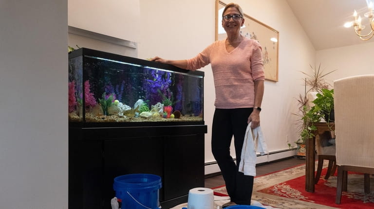 Carol Bendo, who owns an aquarium maintenance business, by her 75-gallon...