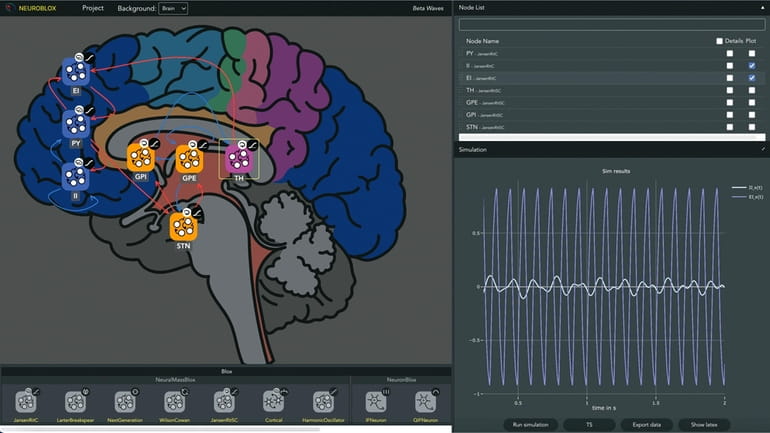 A screenshot of the Neuroblox interface. The process to diagnose...