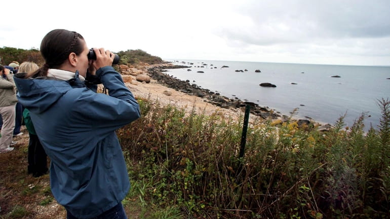 Visitors gaze at the shoreline on Plum Island. (Oct. 6,...
