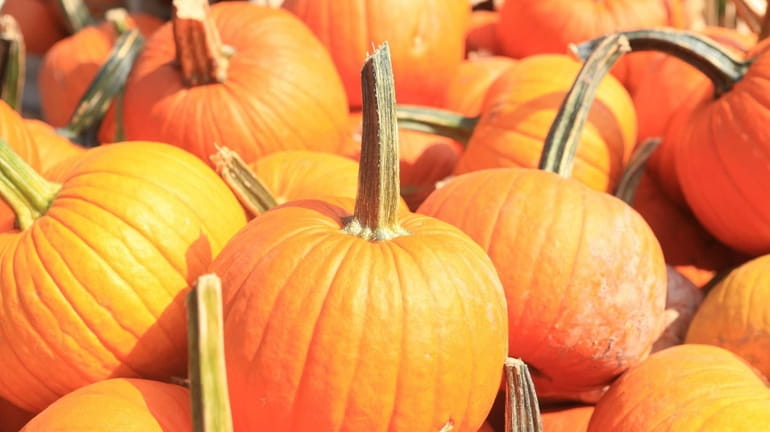 Stay safe this Halloween with these pumpkin carving safety tips.