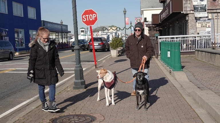 Lori and Donald Zsunkan of Freeport walk their dogs Riley...