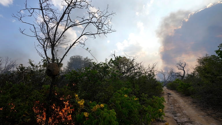An extensive area of the Serra das Bandeiras forest burns...