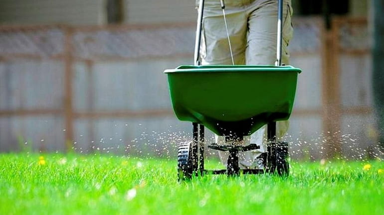 September is a great month for reseeding and fertilizing lawns.
