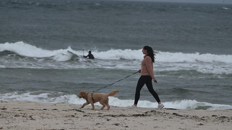 Bonnie Vahlsing and her dog Cody stroll along the shoreline of...
