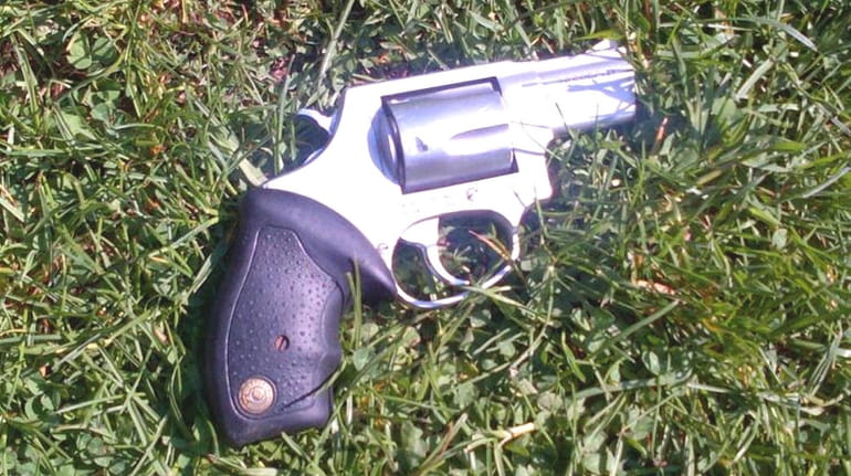 An image of the gun involved in the shooting of...