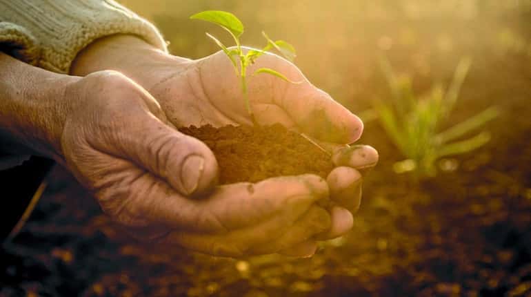 The soil-serotonin connection can help to explain feelings of well-being...