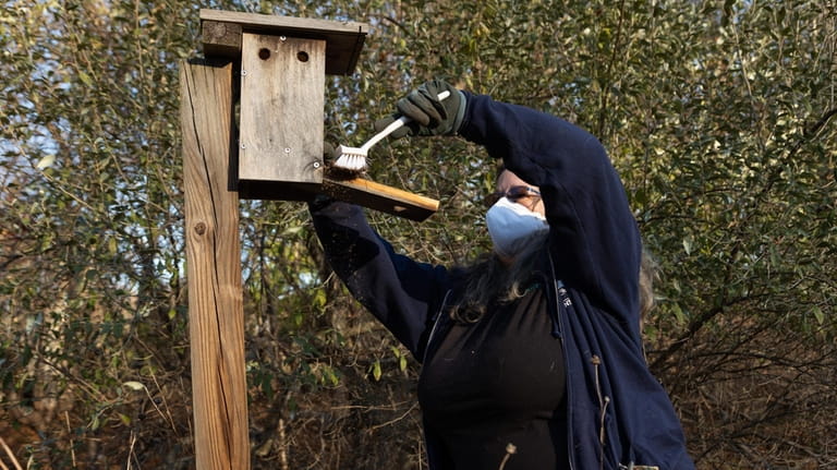 Winter is the best time to clean birdhouses, says Joyann Cirigliano, president of...