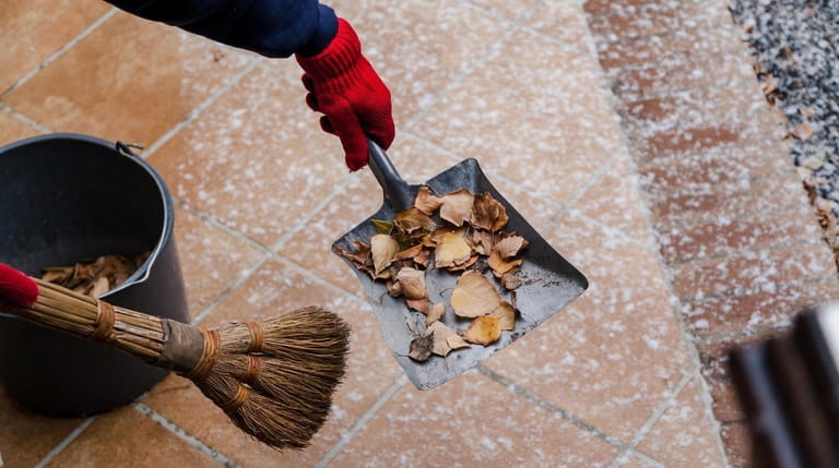 Homeowners can help by clearing up leaves piled up on...