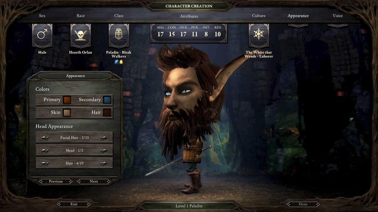 Screengrab from video game : Pillars of Eternity (Obsidian Entertainment)