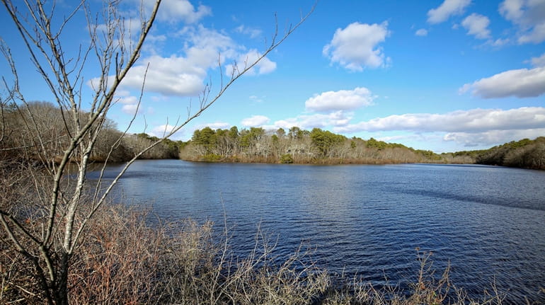 Beaverdam Pond is seen from Old Country Road in Westhampton