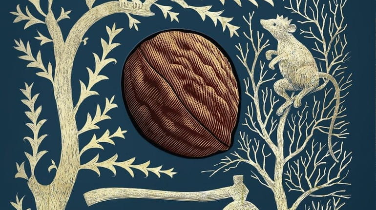 A detail from the cover of "Hiddensee" by Gregory Maguire...