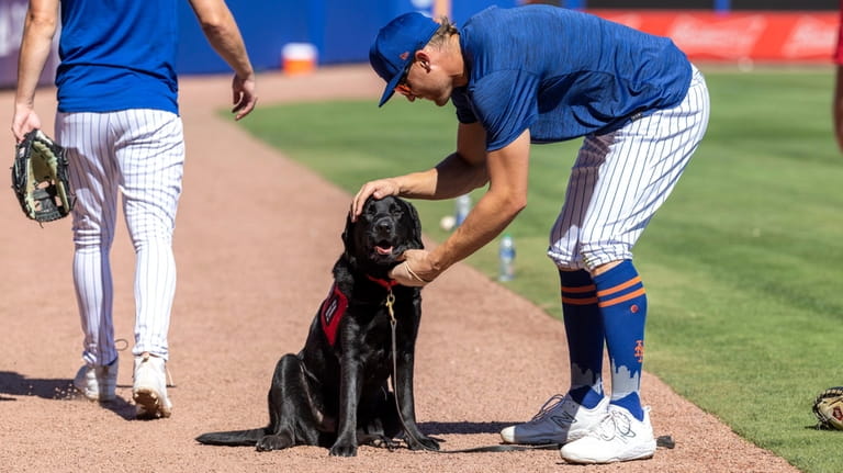 New York Mets outfielder Brandon Nimmo pets Bear.