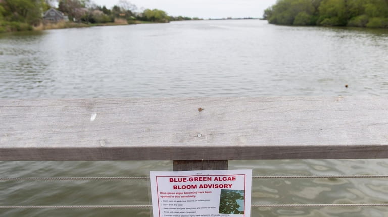 A sign warning of a blue-green algae bloom at the...