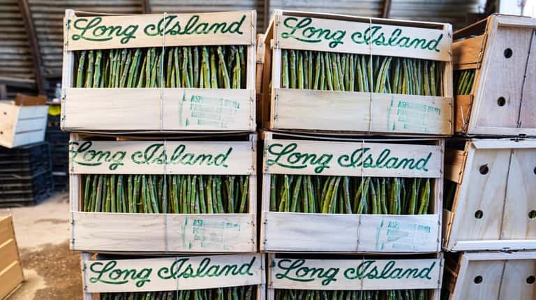 Crates of asparagus packed and ready for pickup at Wells...