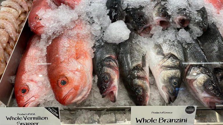 Branzini and red snapper lay on ice at the Massapequa...