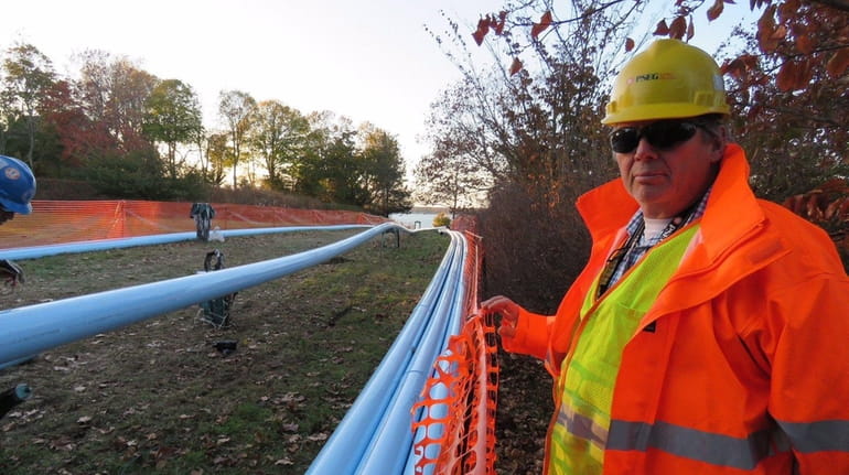 PSEG Long Island project manager Manny Lilimpakis stands beside long...