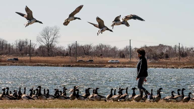 Visitors enjoy North Woodmere Park, which has athletic fields and...