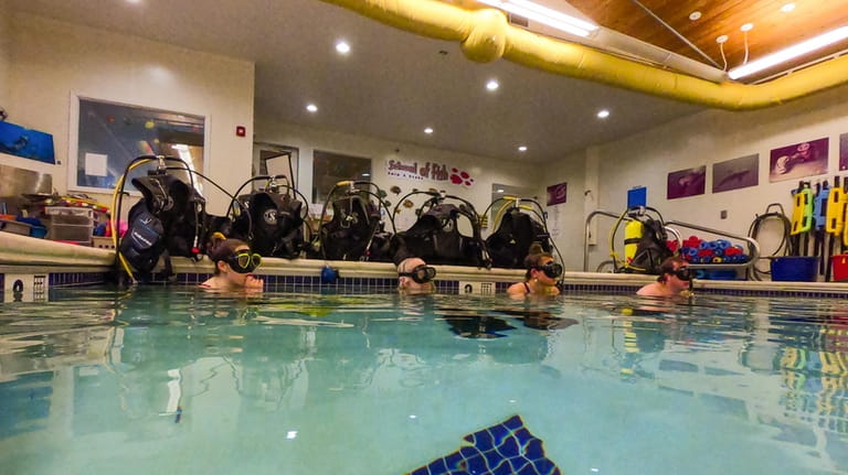 Students learn the fundamentals of SCUBA diving at "School of...