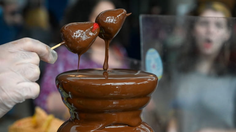 The Chocolate Expo will be held inside Hofstra University’s David...