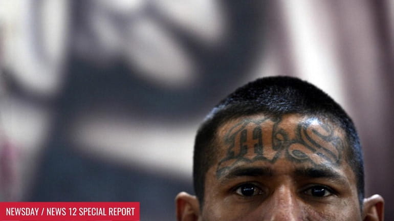 A member MS-13 is pictured in the Criminal Center of...