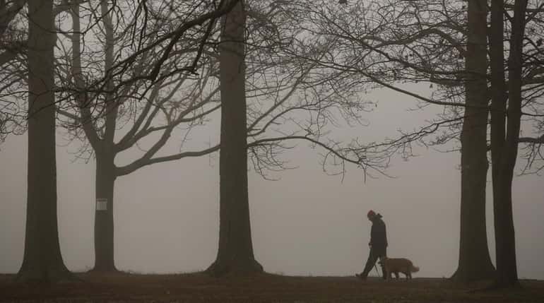 A man walks his dog through dense fog at Belmont...