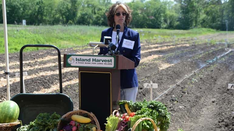 Randi Shubin Dresner, president and CEO of Island Harvest Food Bank, speaks...