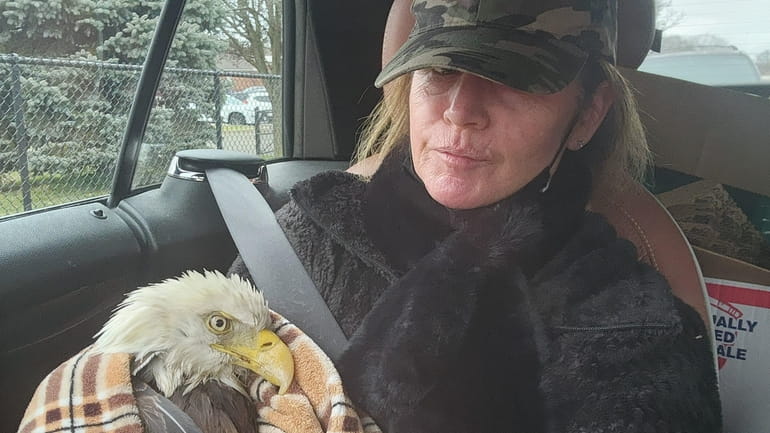 Liz Schwartz with a rescued eagle named Dad from Centerport.