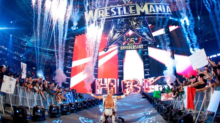Shawn Michaels at WrestleMania 25