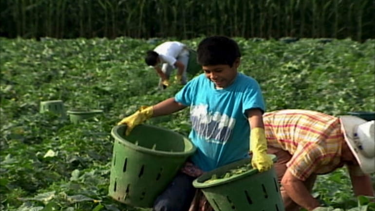 NBC's "Dateline" special titled "Children of the Harvest"  (NBC)