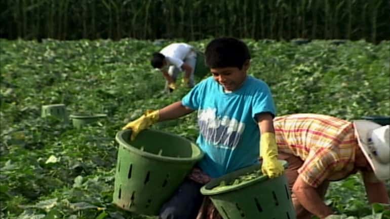 NBC's "Dateline" special titled "Children of the Harvest"  (NBC)