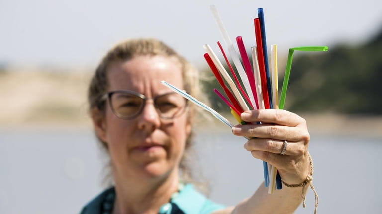 Holding plastic straws from a previous beach cleanup, Suffolk County...