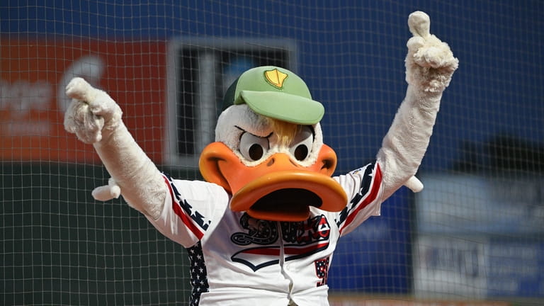 The Long Island Ducks mascot cheers on fans during a...