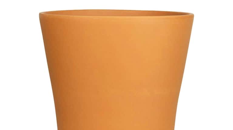 Simply perfect terra cotta is a perfect vessel for your...
