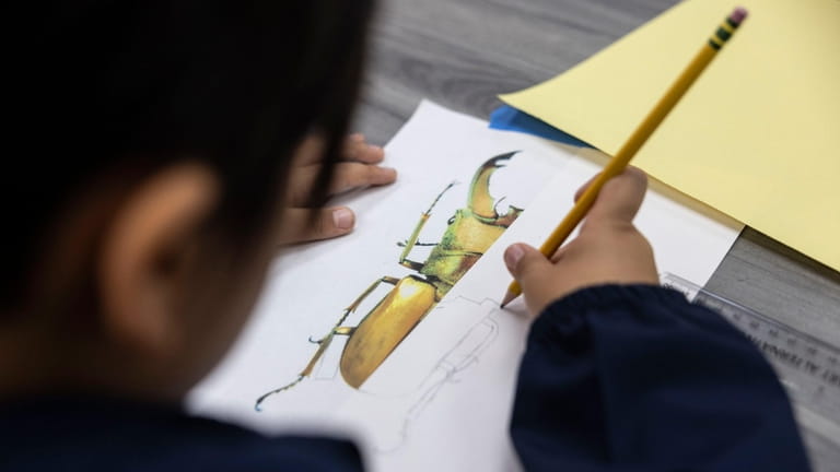 Casey Kim, 8, sketches during an art class at One...