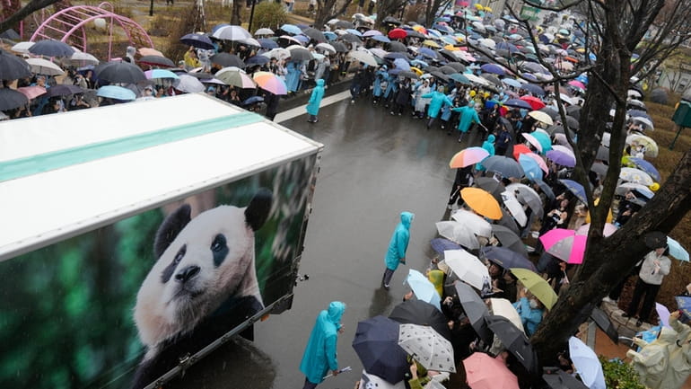 A vehicle carrying Fu Bao, the first giant panda born...