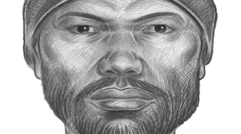 NYPD officials said Tuesday, Sept. 6, 2016, that a sketch...