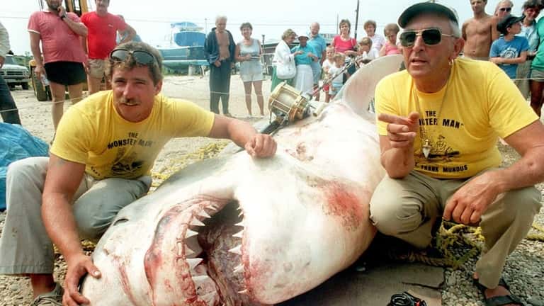 This is the big one: a 3,450-pound great white shark...