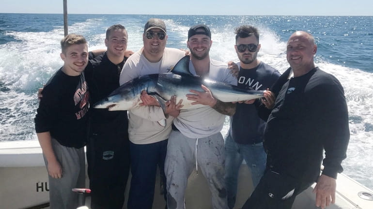 Shark fishing in Montauk caught a Maco shark on September...