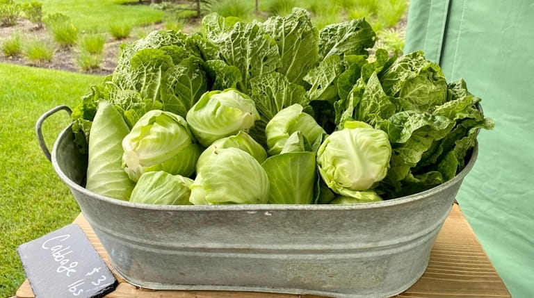 Cabbage from Valentine's Farm at Deep Roots Farmers Market in...