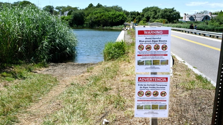 Signs along Sagg Pond in Southampton Town on Saturday warn of high...