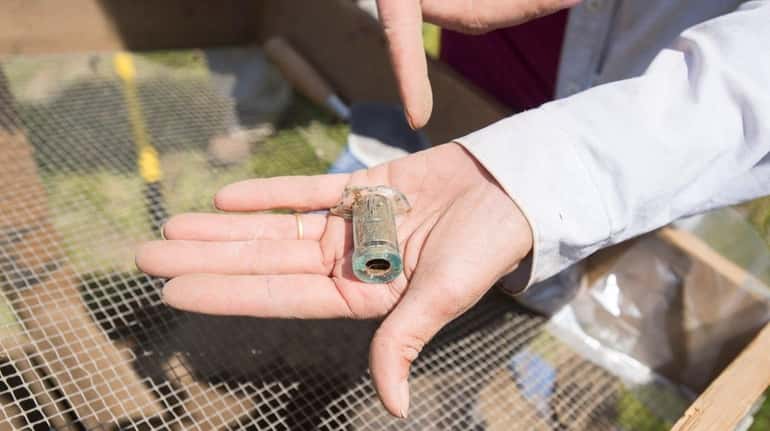 A bottle stem recovered during an archaeological dig in Southampton...