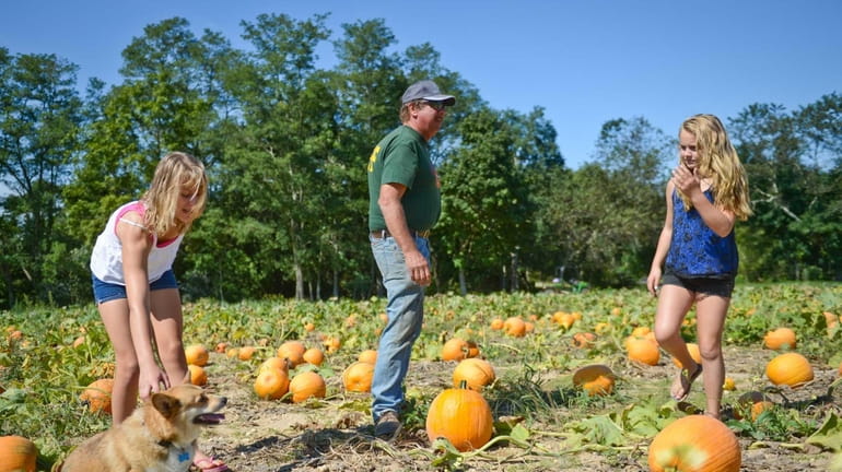 Jim Stakey, owner of Stakey's Pumpkin Farm, with daughter Clare,...