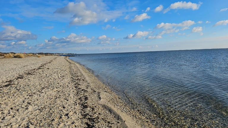 The shoreline at Mud Creek County Park in East Patchogue...