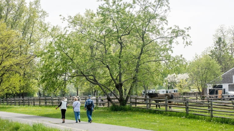 Hikers stroll past the horse stables at Caumsett State Historic...