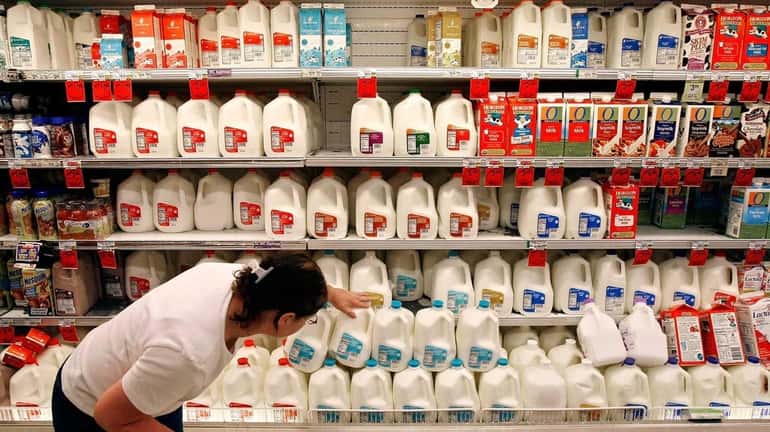 A customer scans the expiration dates on gallons of milk...