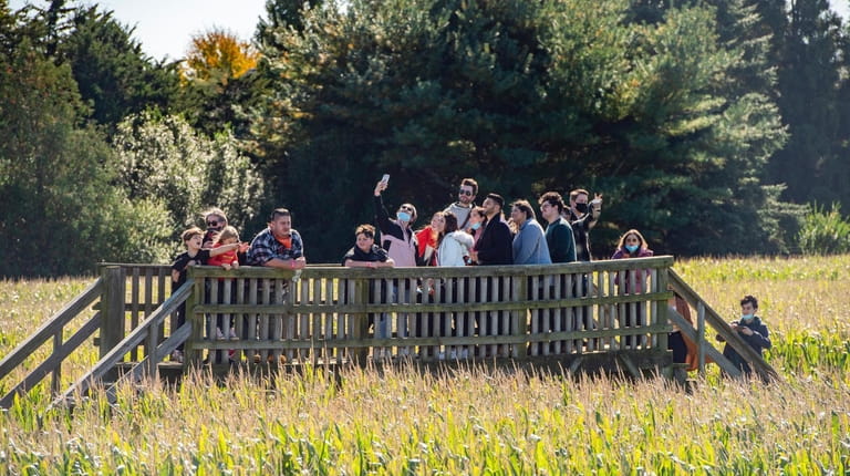 People stand on a bridge overlooking the corn maze at...