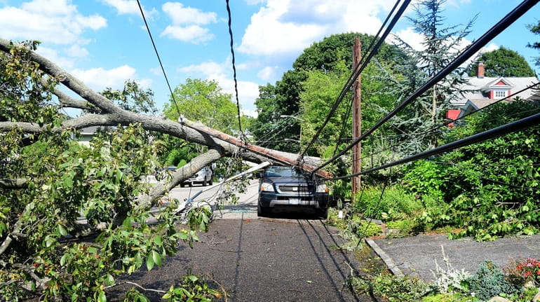 A fallen tree snapped a utility pole, took down wires and...